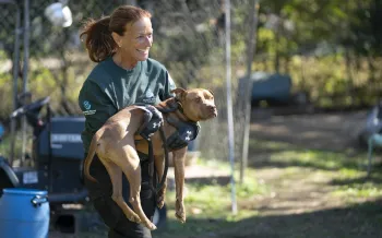 SC Dogfighting Rescue - Lancaster Co.